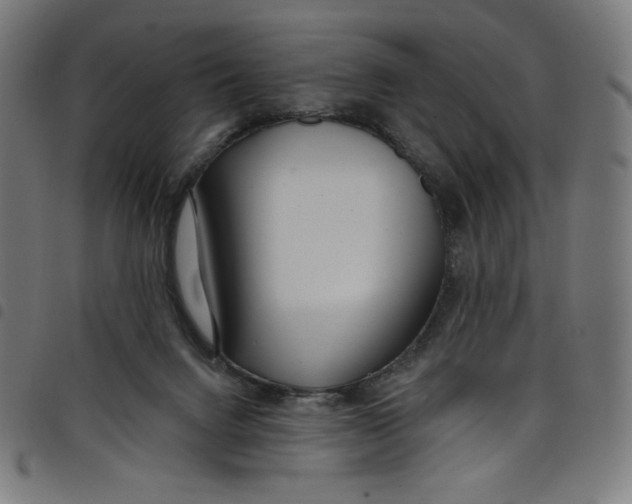 X0000098090072200804251305