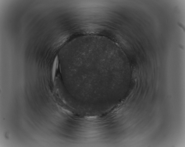 X0000098090076200804251305