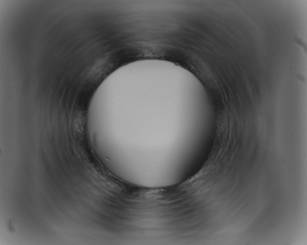 X0000098090078200804251305