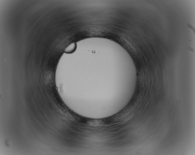 X0000098090079200804251305