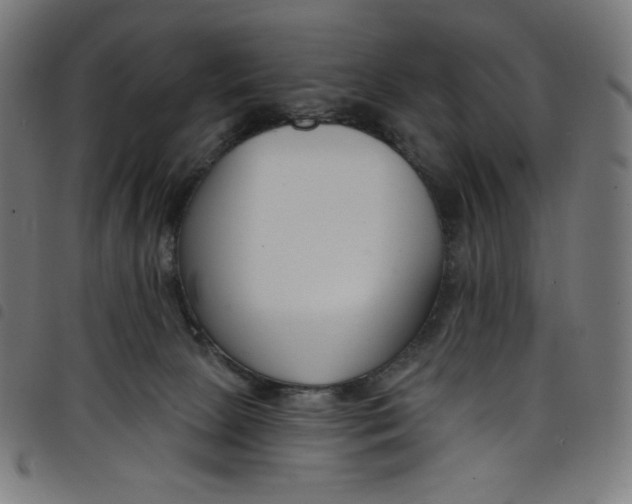 X0000098090081200804251305