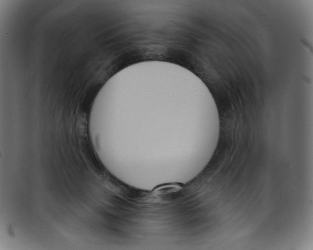 X0000098090083200804251305