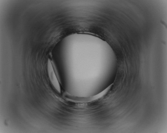 X0000098090084200804251305