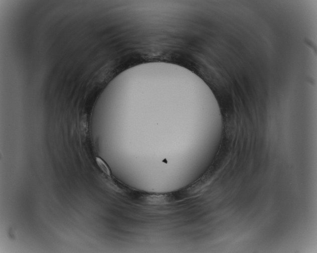 X0000098090085200804251305