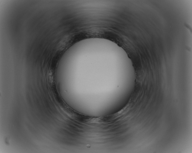 X0000098090086200804251305