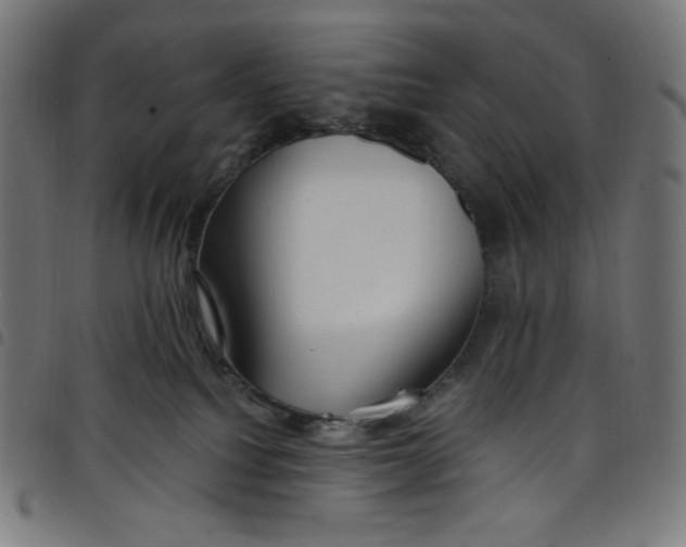 X0000098090088200804251305