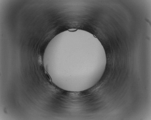 X0000098090089200804251305