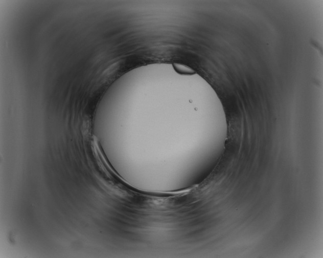 X0000098090092200804251305