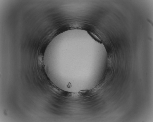 X0000098090093200804251305