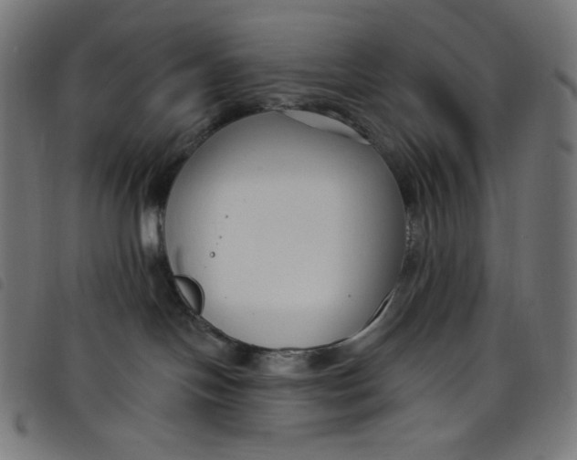 X0000098090094200804251305