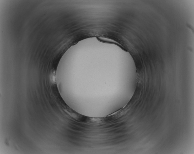 X0000098090095200804251305