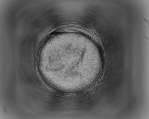 X0000098090097200804251304