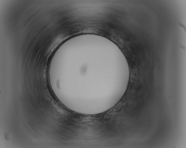 X0000098090098200804251304