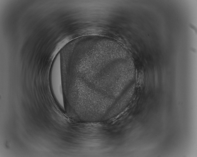 X0000098090099200804251304