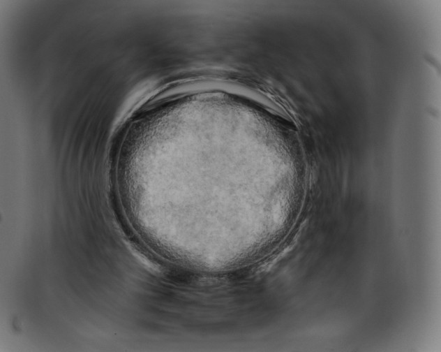 X0000098090101200804251304