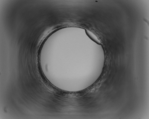 X0000098090103200804251304