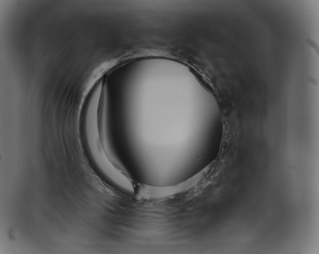 X0000098090104200804251304