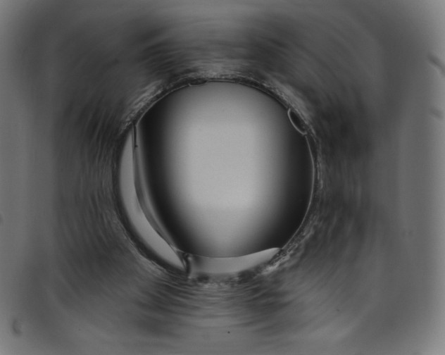 X0000098090105200804251304