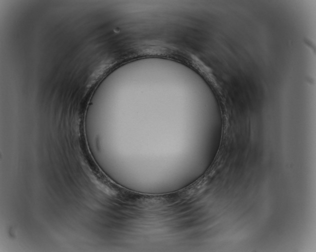 X0000098090106200804251304