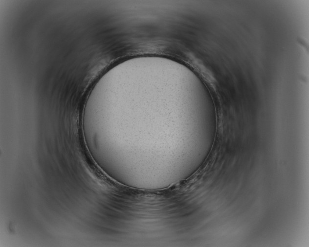 X0000098090107200804251304