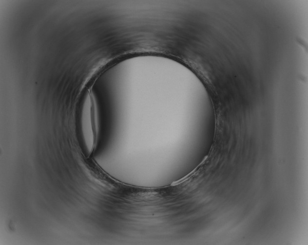 X0000098090108200804251304