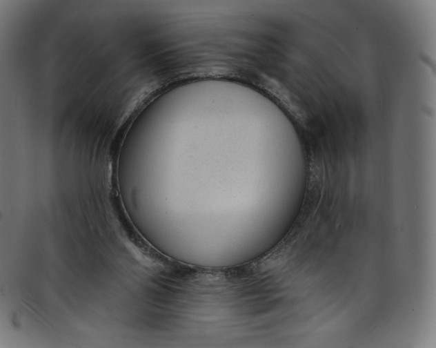 X0000098090110200804251304