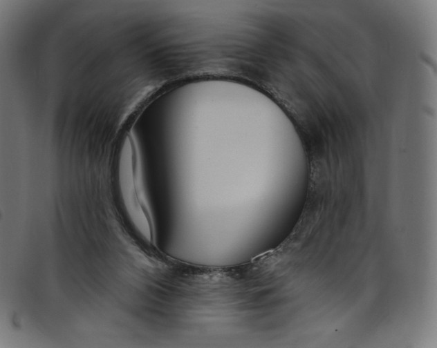 X0000098090112200804251304