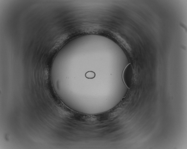 X0000098090113200804251304