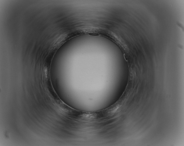 X0000098090117200804251304