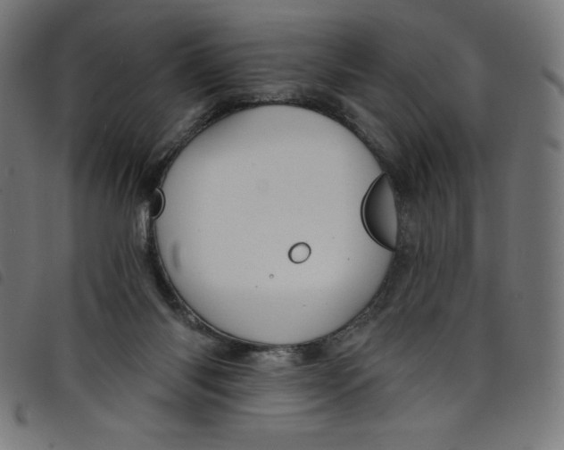 X0000098090118200804251304