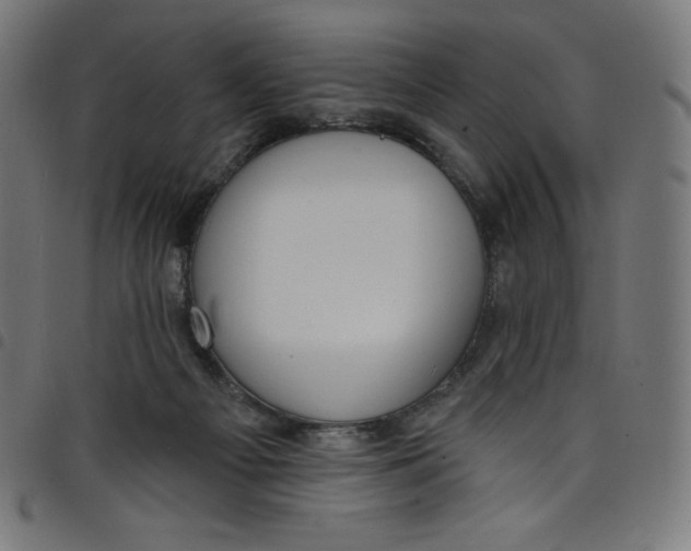 X0000098090121200804251304