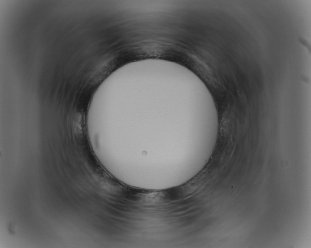 X0000098090122200804251304