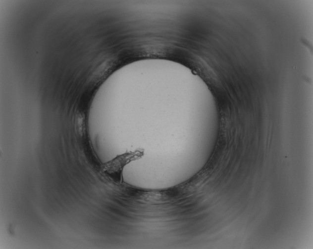 X0000098090123200804251304