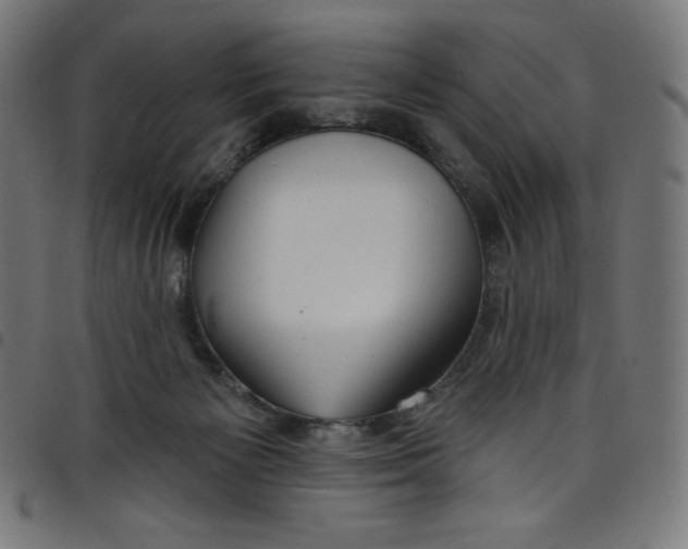 X0000098090125200804251304