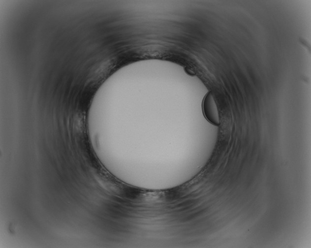 X0000098090126200804251304