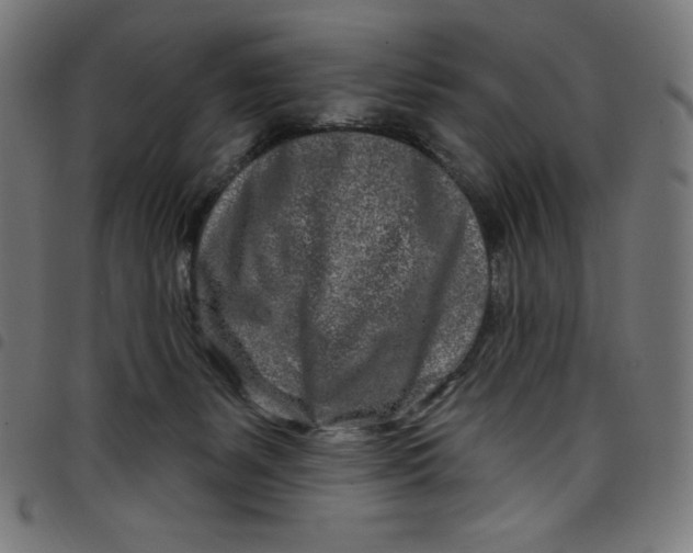 X0000098090127200804251304