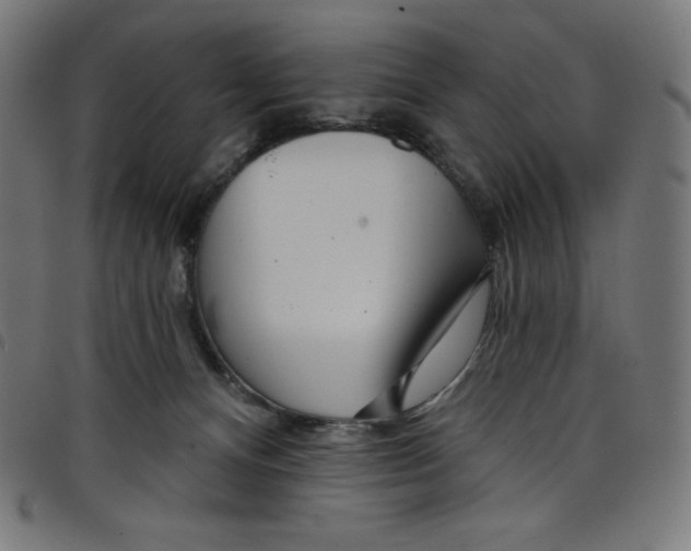 X0000098090128200804251304