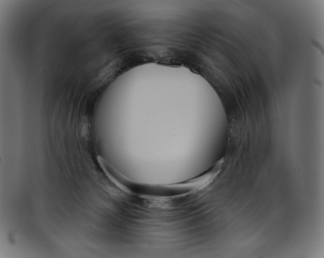 X0000098090132200804251304