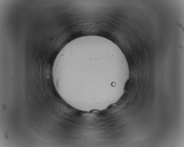 X0000098090133200804251304