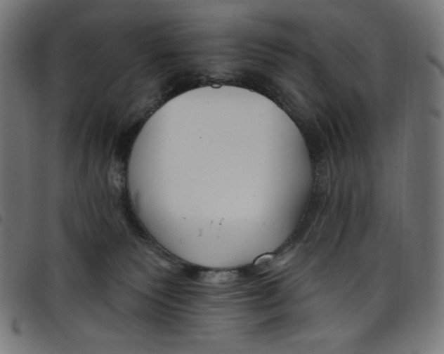 X0000098090135200804251304