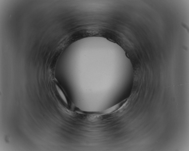 X0000098090136200804251304