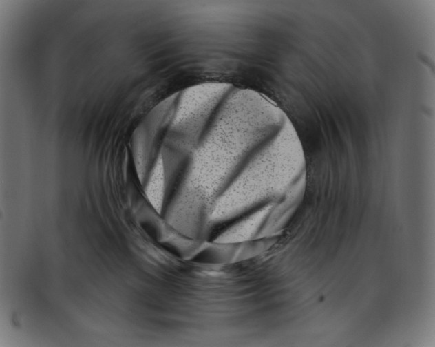 X0000098090137200804251304