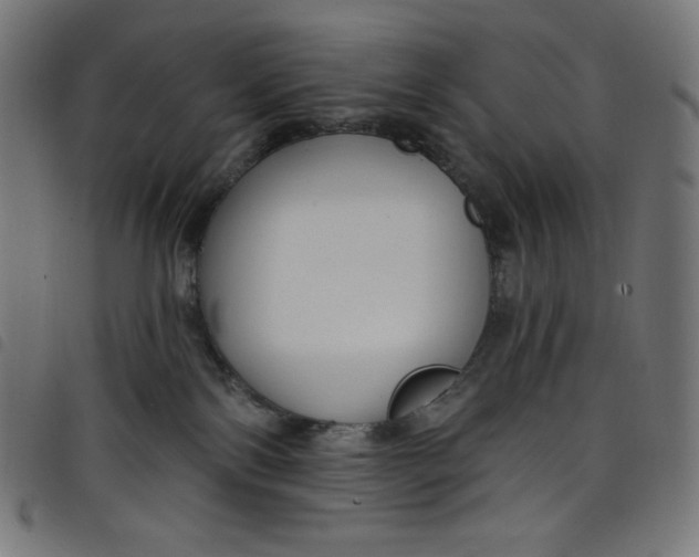 X0000098090138200804251304