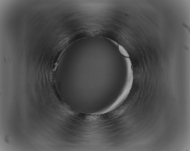 X0000098090139200804251304