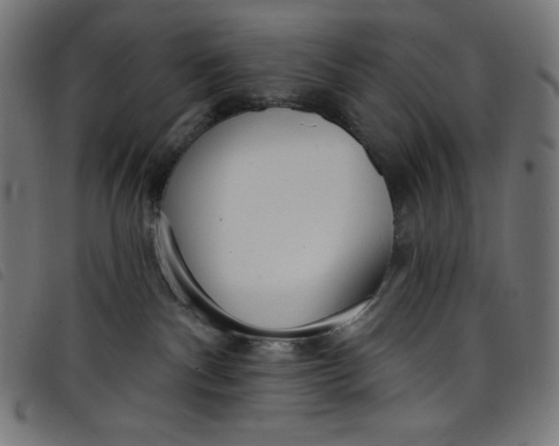 X0000098090140200804251304