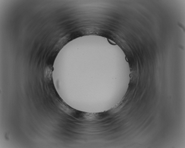 X0000098090142200804251304