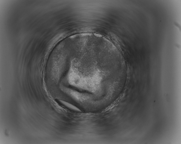 X0000098090145200804251303