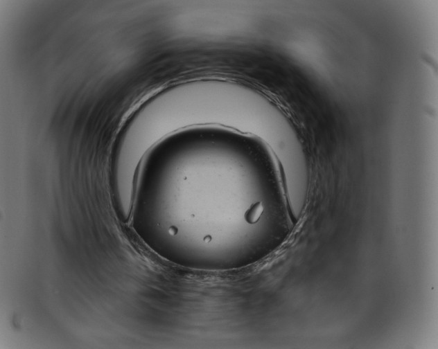 X0000098090146200804251303