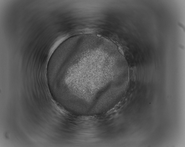 X0000098090147200804251303