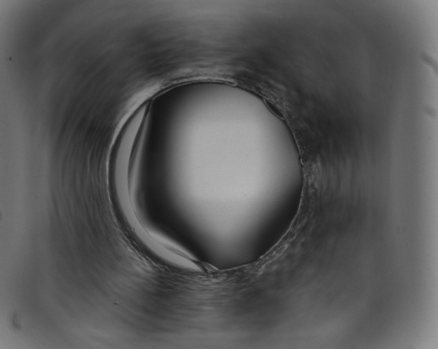 X0000098090148200804251303